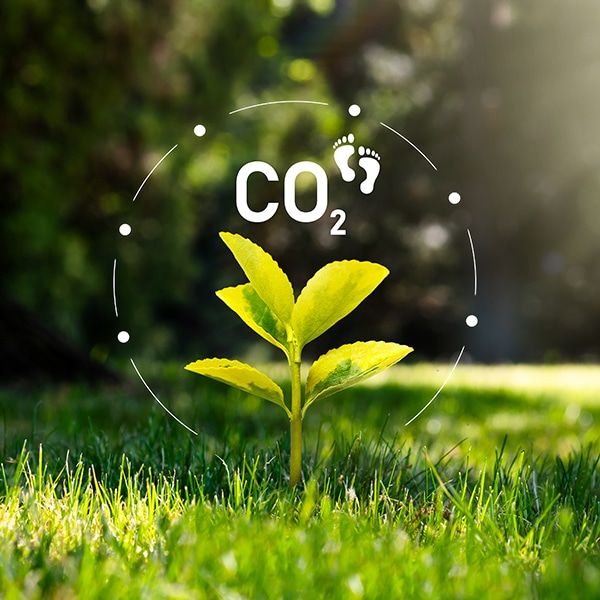 How does a UPS system help reduce my carbon footprint?